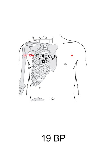 BP19