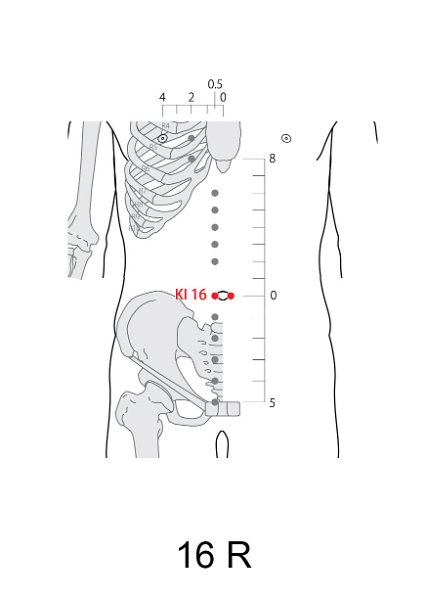 R16