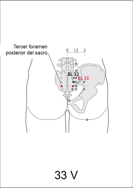 V33