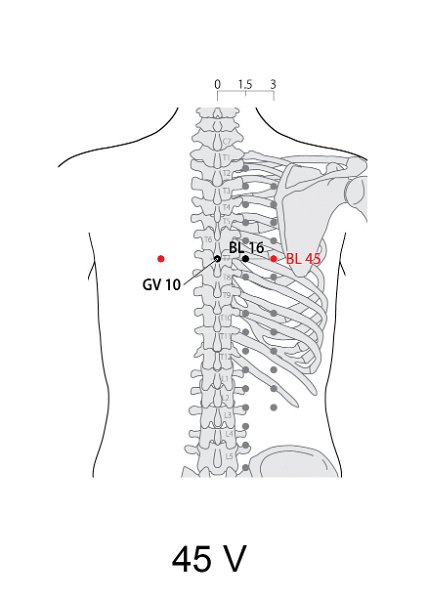 V45