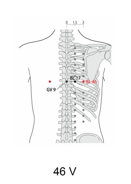 V46