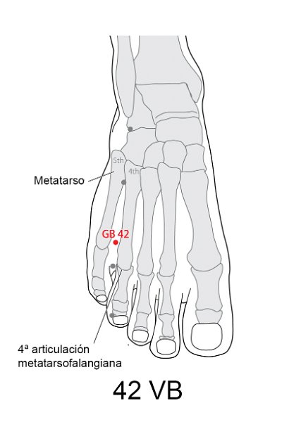 VB42